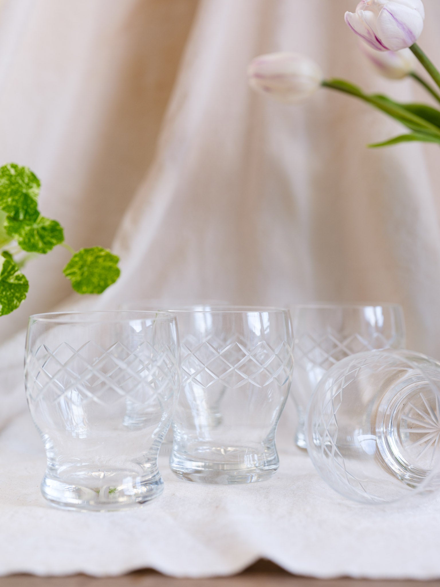 Set of clear glass tumblers with geometric patterns on a white surface with flowers and greenery.