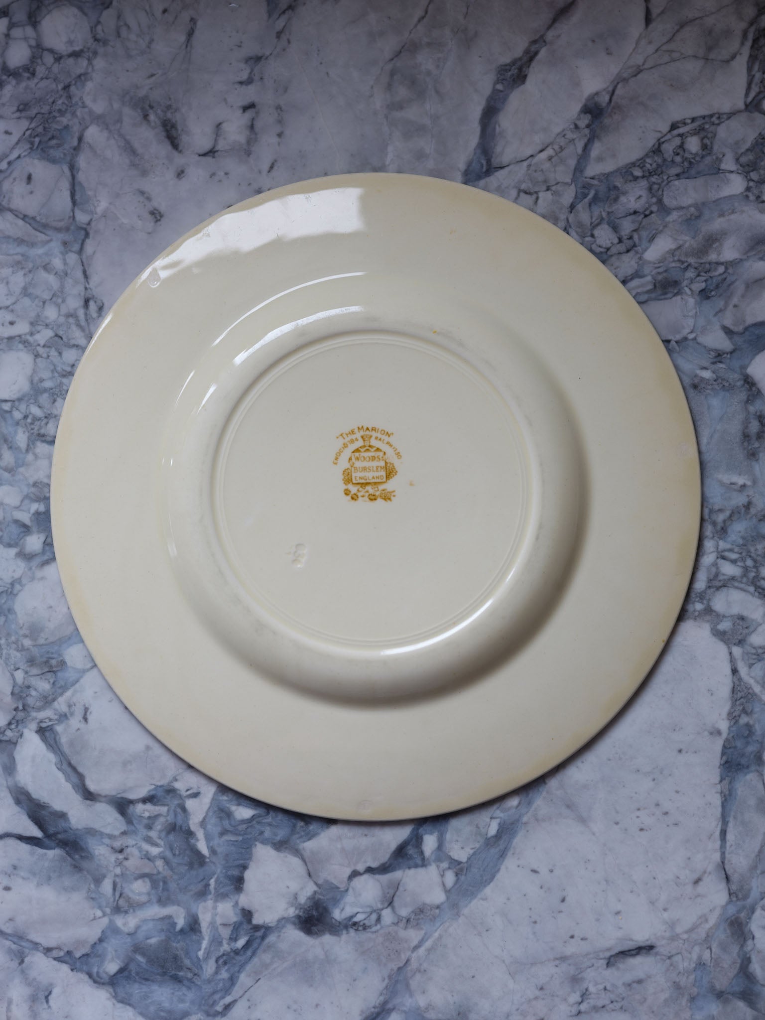 Wood & Sons The Marion Plates – Vintage English China with Floral Centre & Fleur de Lis (Set of 2)