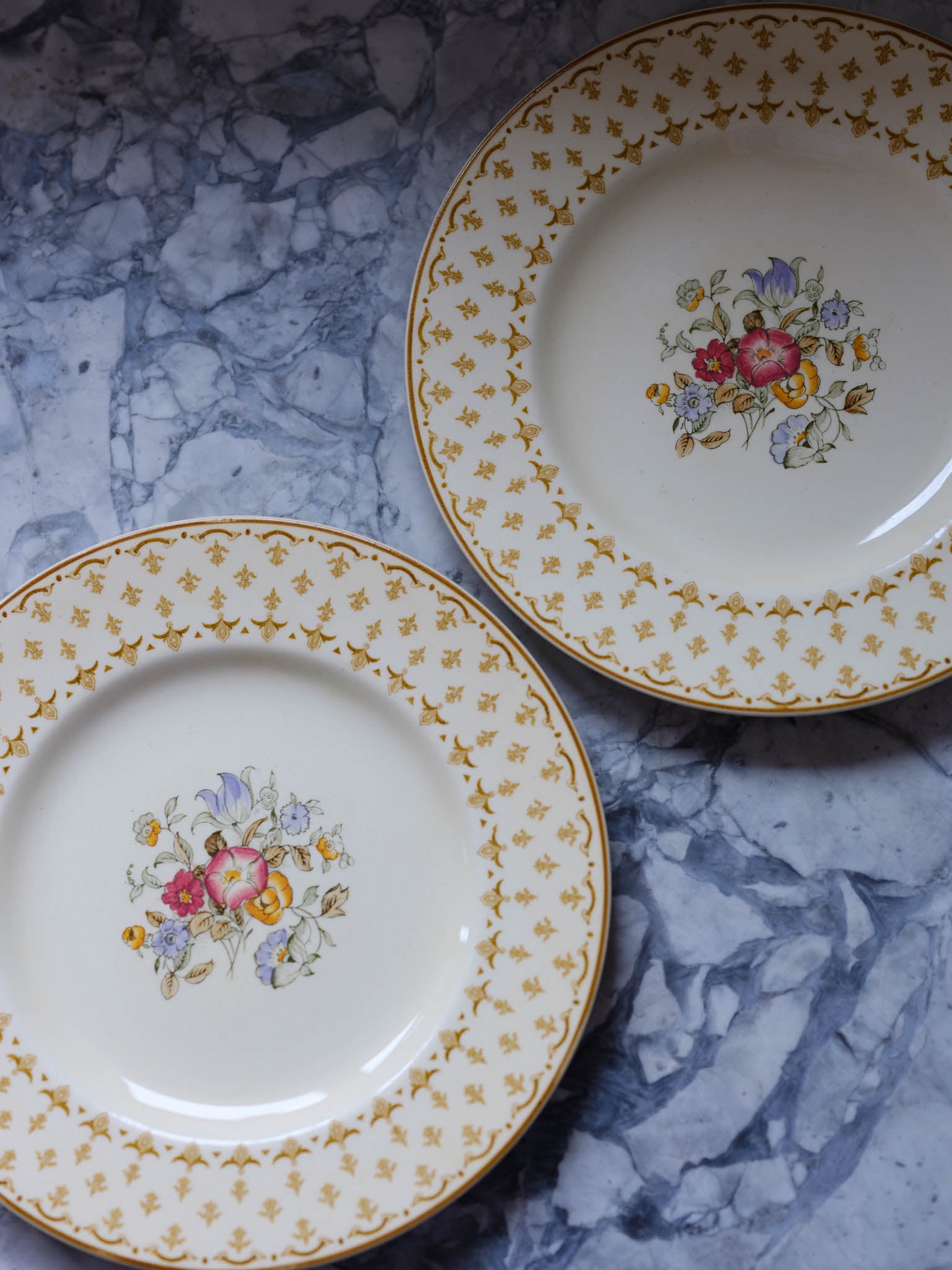 Wood & Sons The Marion Plates – Vintage English China with Floral Centre & Fleur de Lis (Set of 2)
