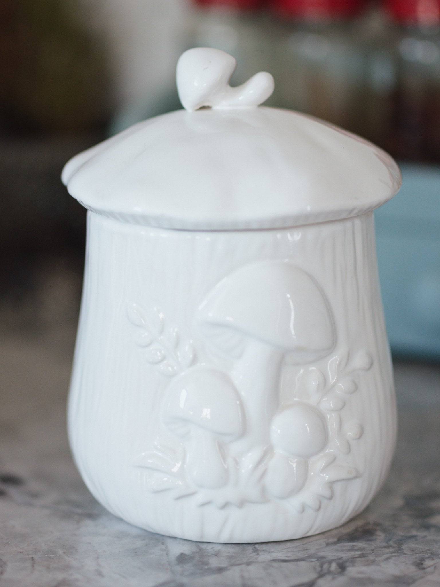 Cottagecore mushroom canister