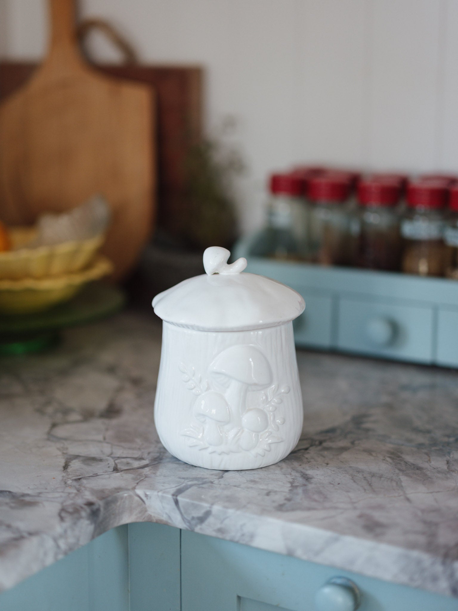 Cottagecore mushroom canister