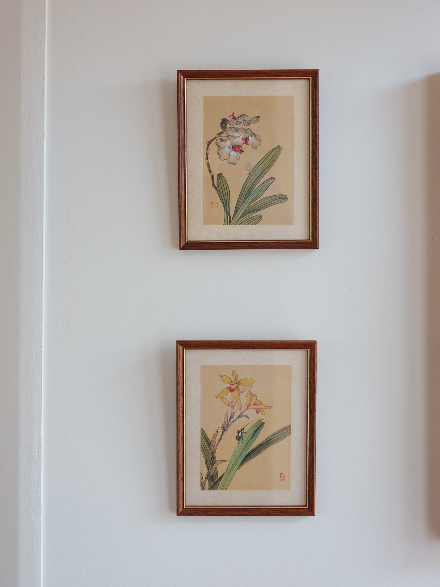 Framed Japanese Orchid Gouache Prints – Pair
