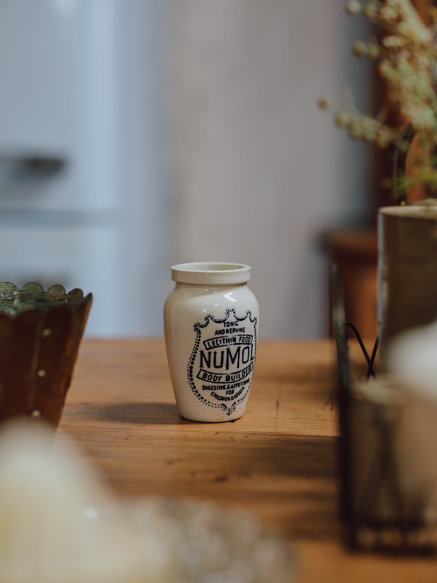 Tonic & Nervine Lecithin Food, Numol Body Builder