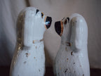 Very Large Antique Staffordshire Dogs - 19th Century