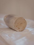 Antique Meek's Inks Stoneware Bottle | Dunedin (c. 1890s)