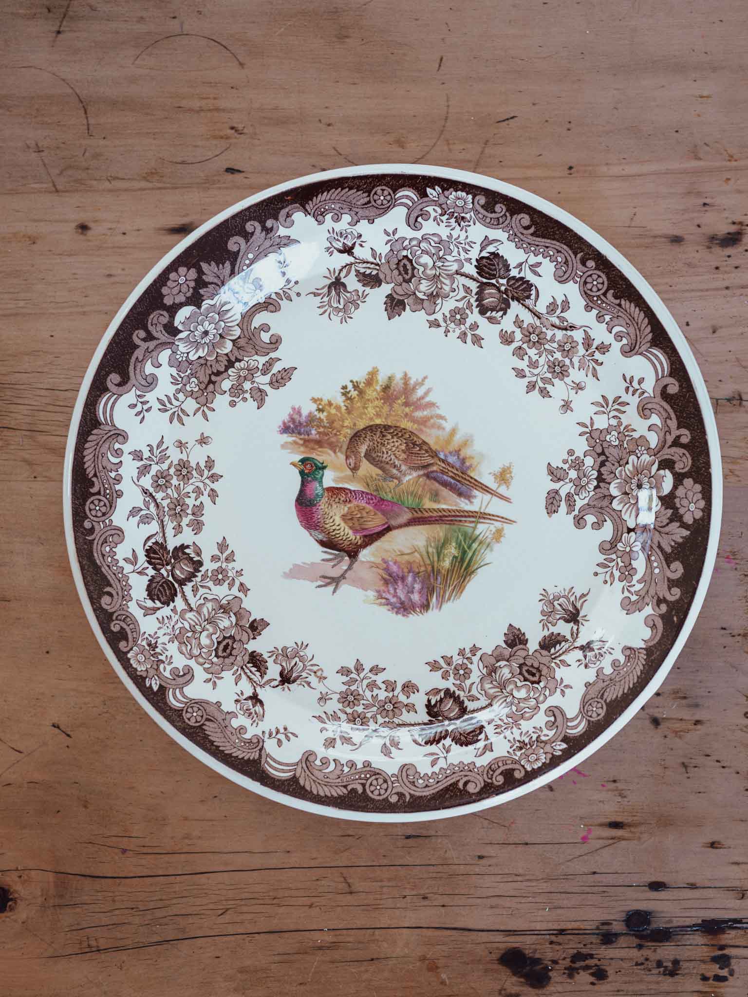 Large Royal Worcester Palissy Game Bird Plates