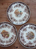 Large Royal Worcester Palissy Game Bird Plates