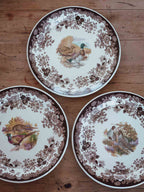 Large Royal Worcester Palissy Game Bird Plates