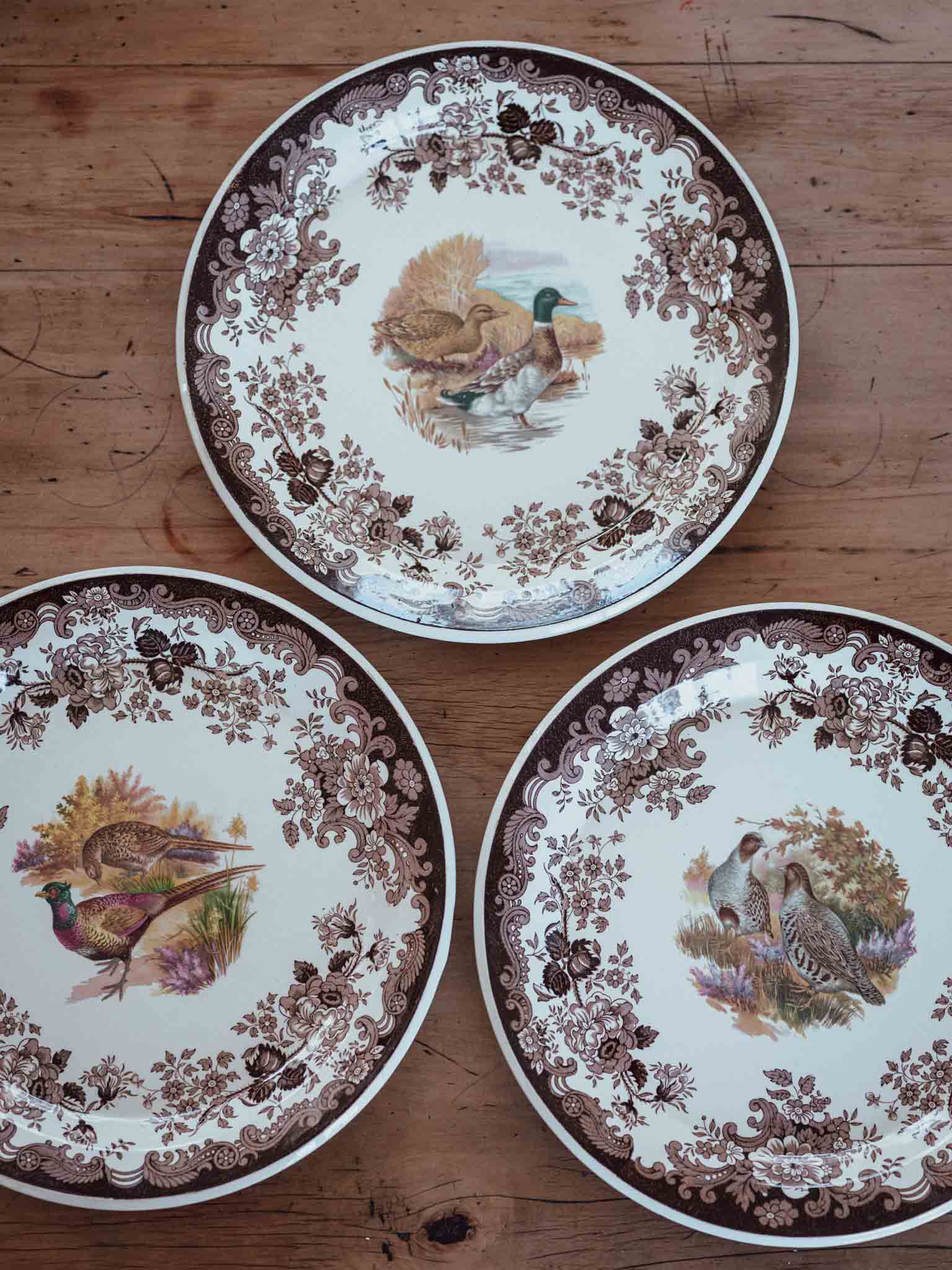 Large Royal Worcester Palissy Game Bird Plates