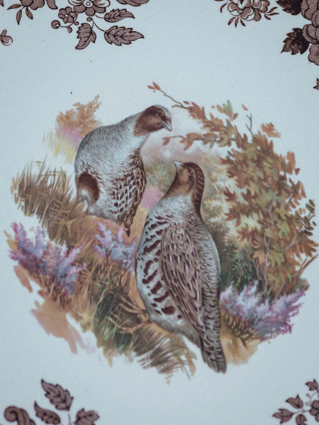 Large Royal Worcester Palissy Game Bird Plates