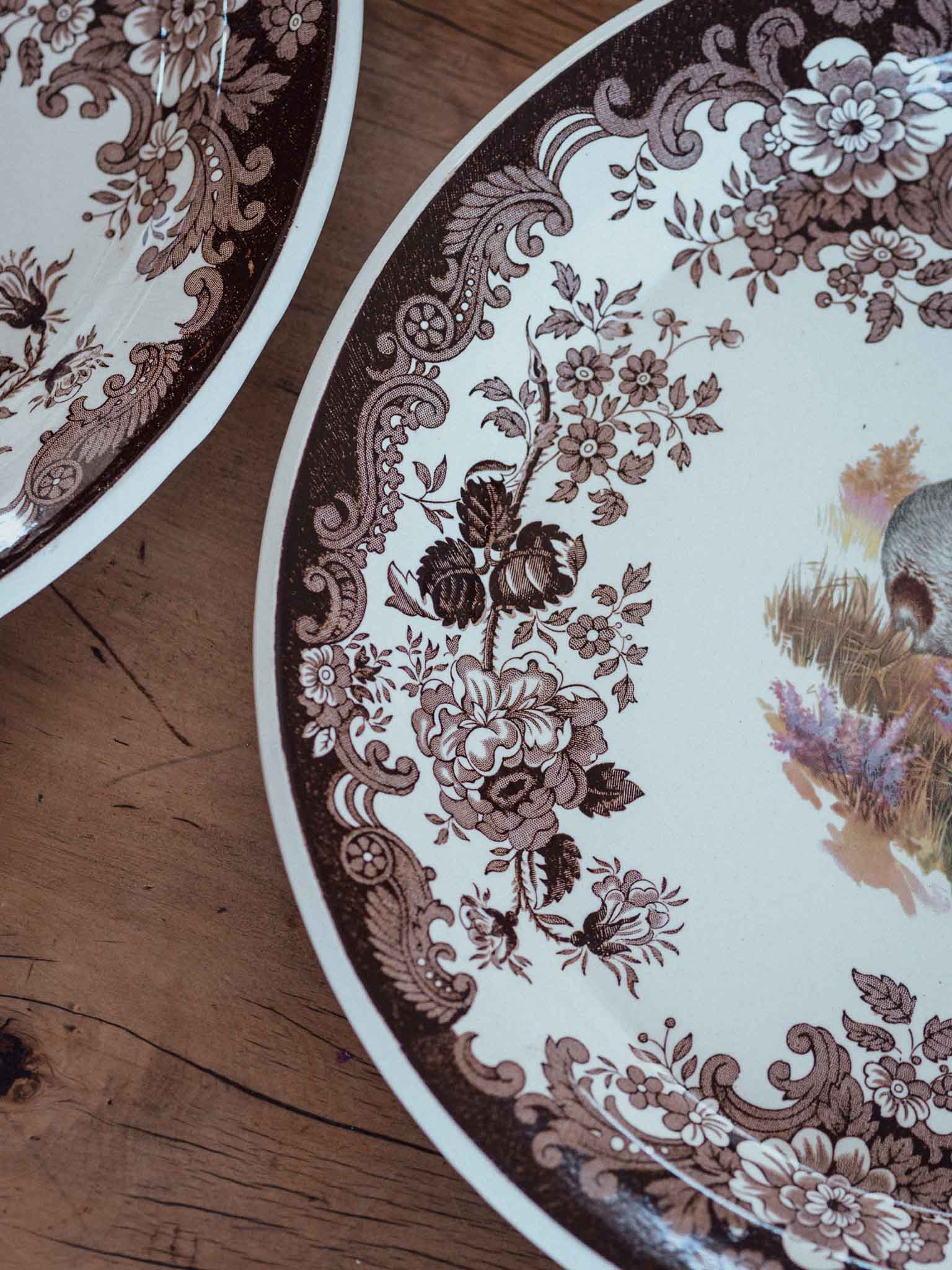 Large Royal Worcester Palissy Game Bird Plates