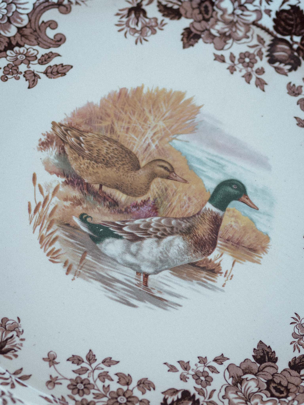 Large Royal Worcester Palissy Game Bird Plates