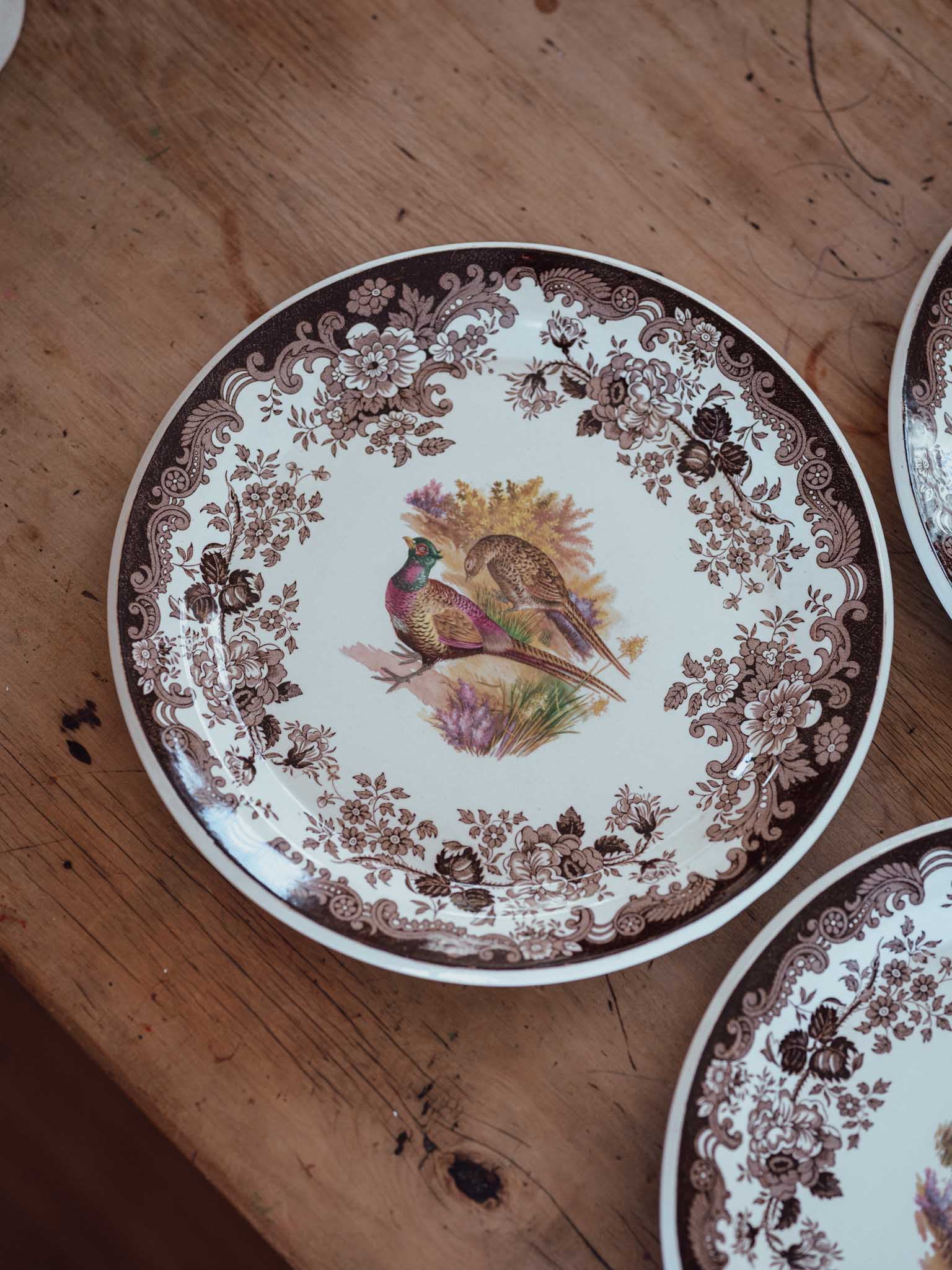 Large Royal Worcester Palissy Game Bird Plates