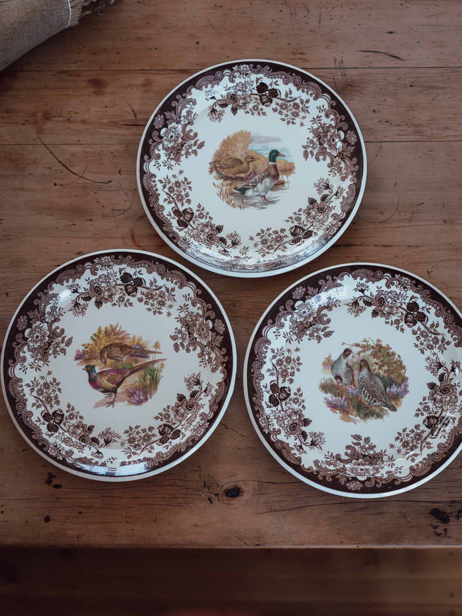 Large Royal Worcester Palissy Game Bird Plates