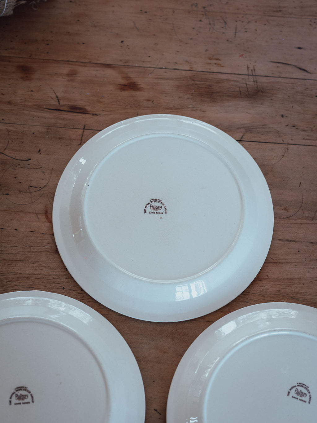 Large Royal Worcester Palissy Game Bird Plates