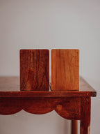 Wooden Globe Bookends