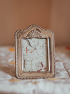Silver Plated Photo Frame with Ornithological Print
