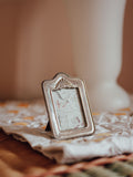 Silver Plated Photo Frame with Ornithological Print