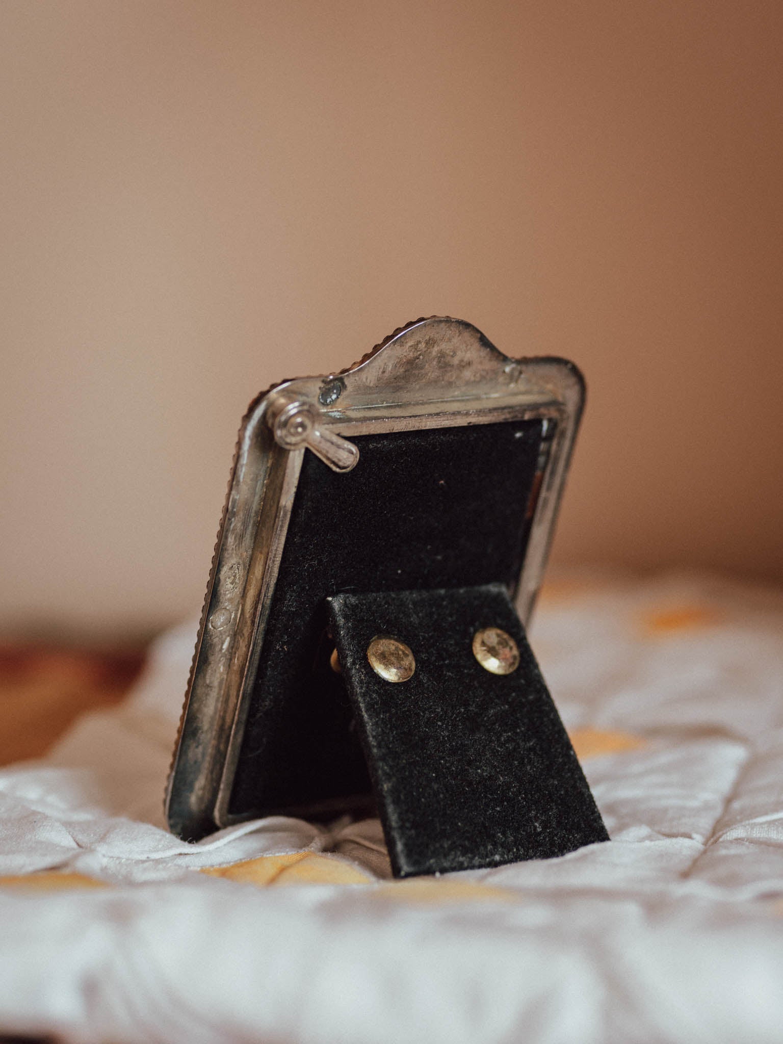 Silver Plated Photo Frame with Ornithological Print