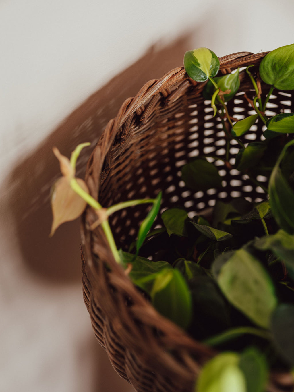 Handmade Nelson Wicker Plant Stand, 1980s