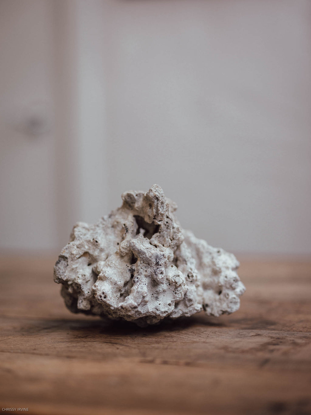 Natural Coral Specimen