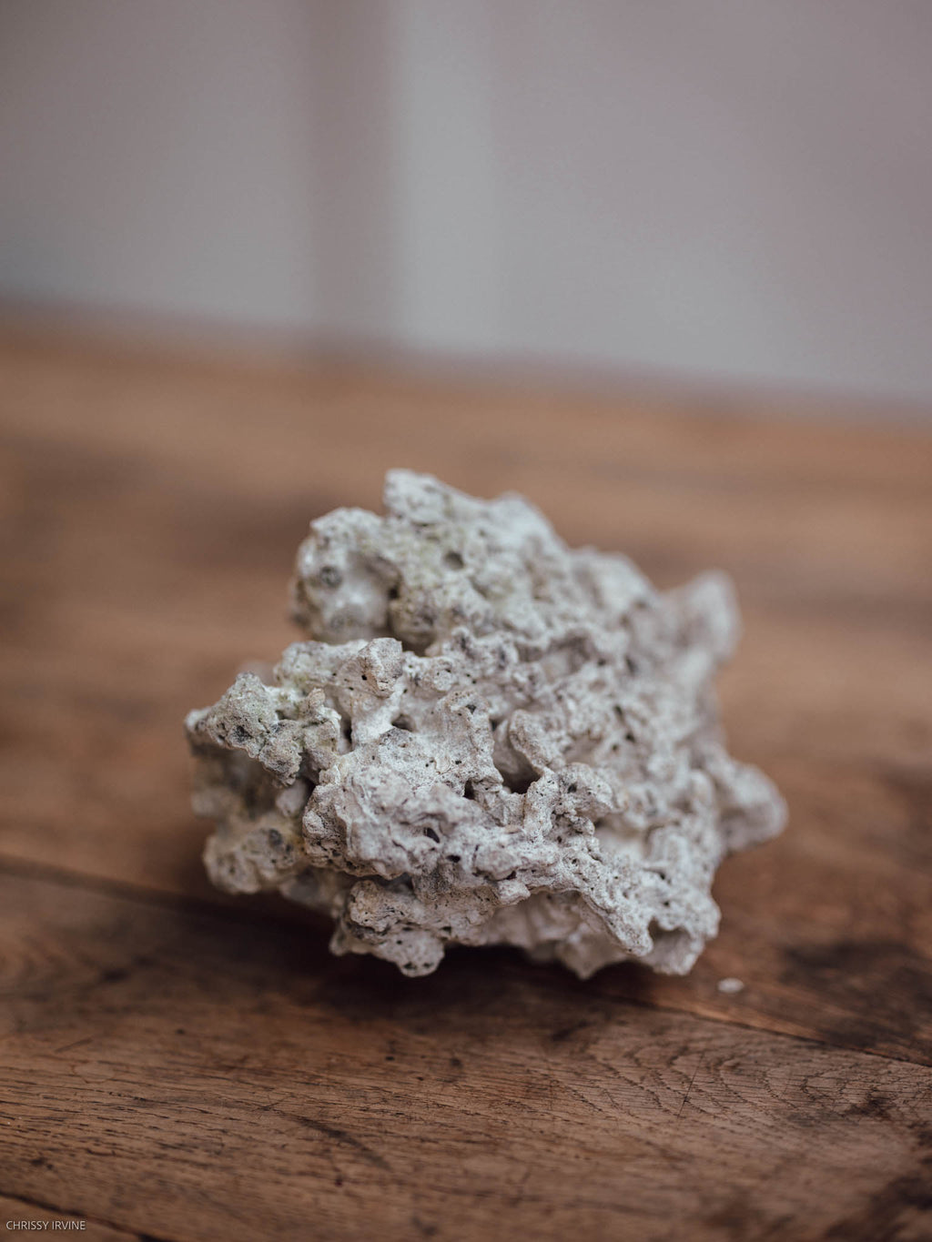 Natural Coral Specimen