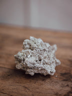 Natural Coral Specimen