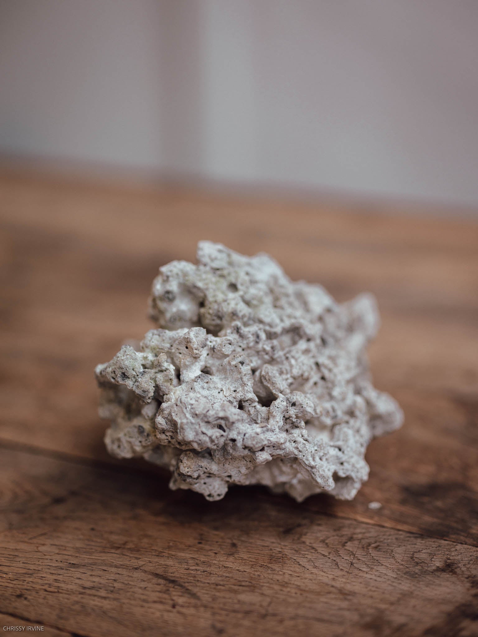 Natural Coral Specimen