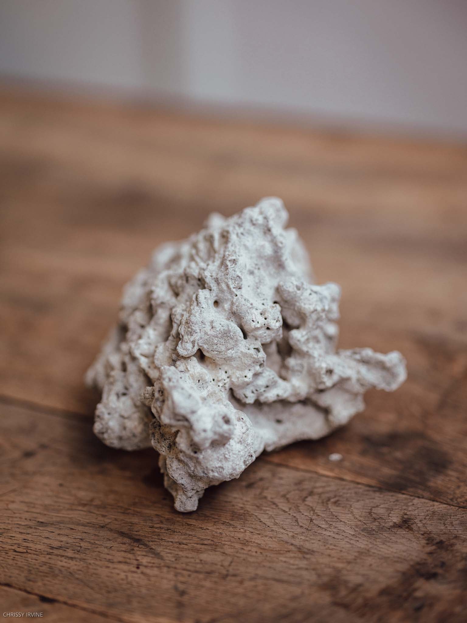 Natural Coral Specimen