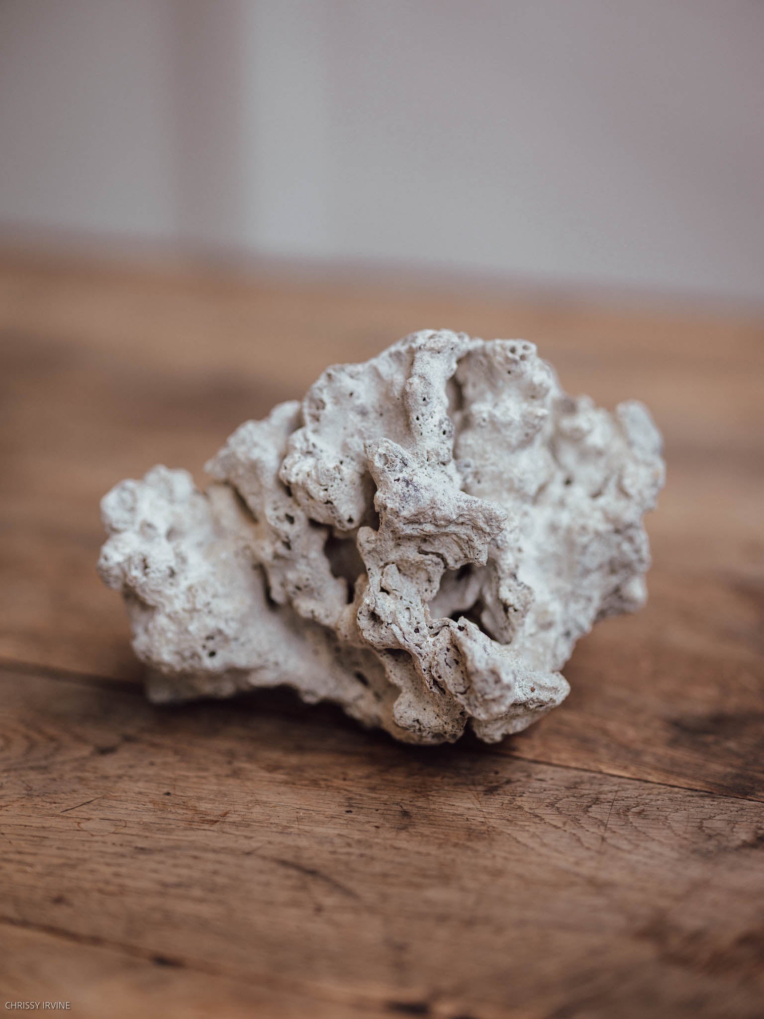 Natural Coral Specimen