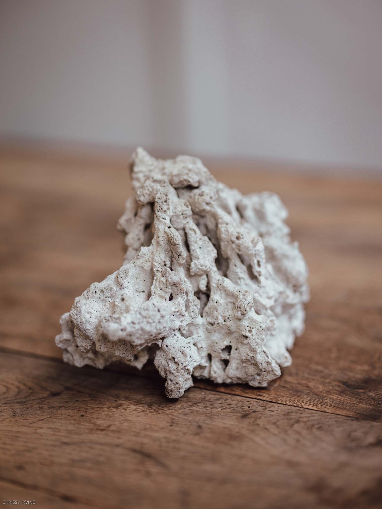 Natural Coral Specimen