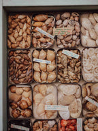 Vintage Shell Collection in Vintage Tins with Handwritten Notes
