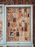 Vintage Shell Collection in Original Matchboxes with Labels