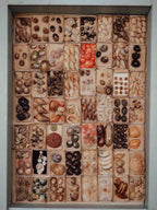 Vintage Shell Collection in Original Matchboxes with Labels