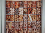 Vintage Shell Collection in Matchboxes with Original Labels