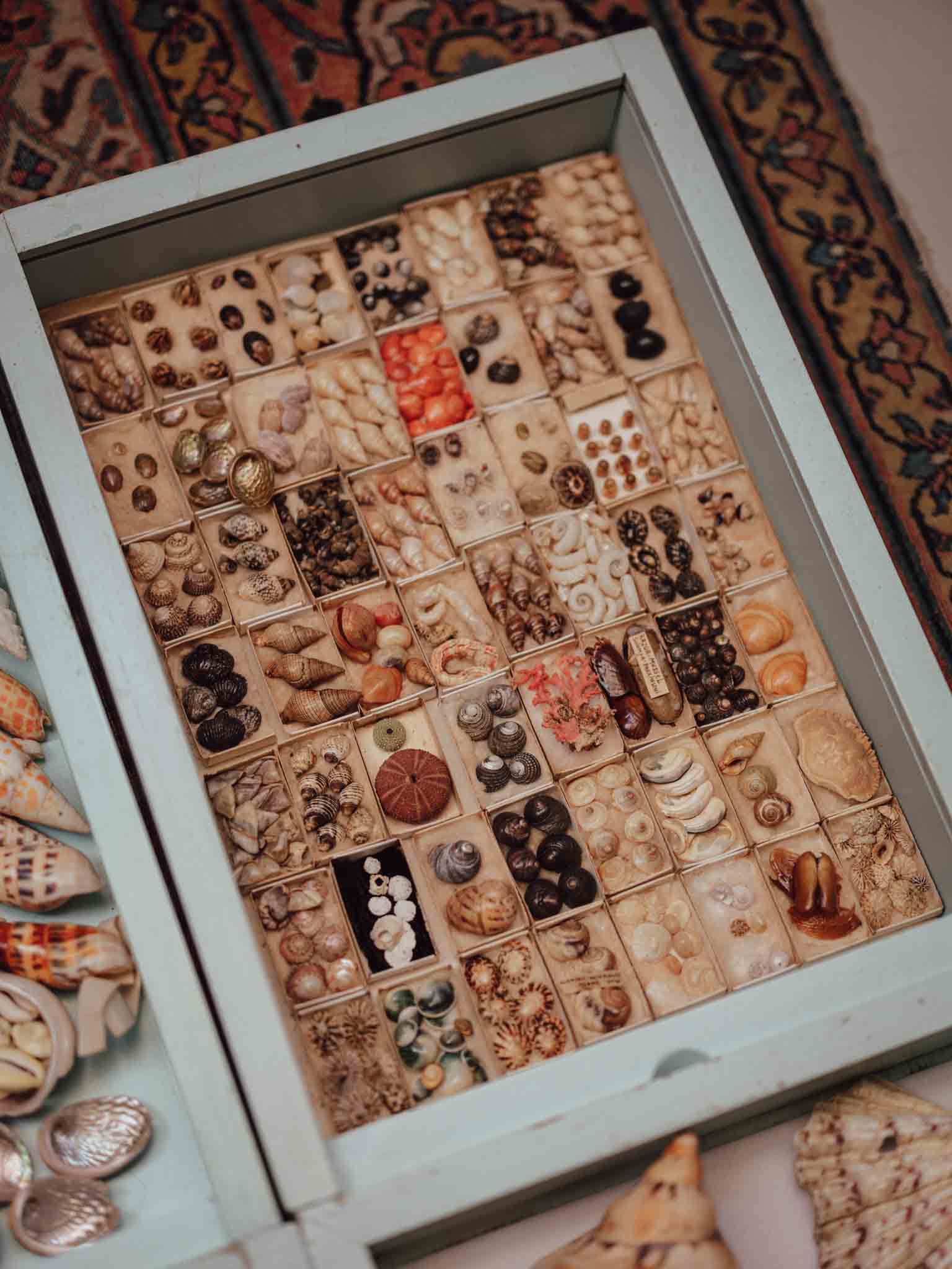 Vintage Shell Collection in Original Matchboxes with Labels