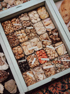 Vintage Shell Collection in Vintage Tins with Handwritten Notes