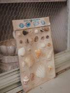 Vintage Japanese Shell Collection - Mid-Century Educational Display Card