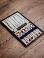 Mid Century Coffee Bean Teaspoons in Original Case