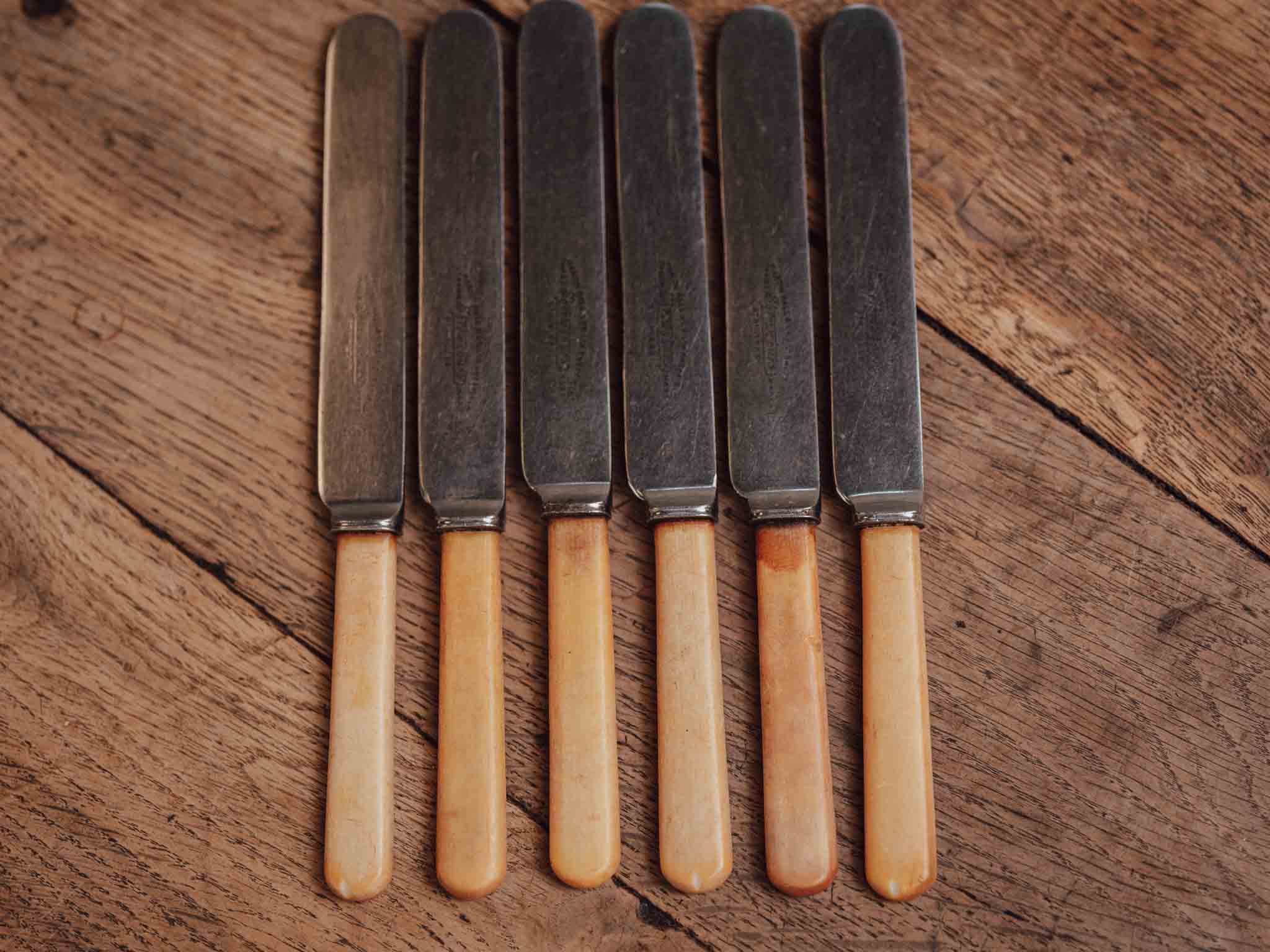 Set of Six Bone-Handled Stainless Knives - Martin Hall and Co Sheffield Shrewsbury