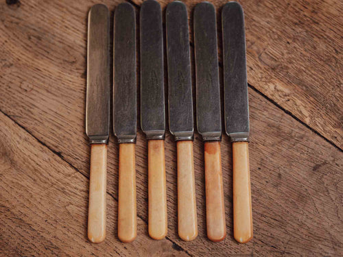 Set of Six Bone-Handled Stainless Knives - Martin Hall and Co Sheffield Shrewsbury
