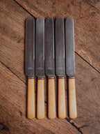 Set of Five Bone-Handled Stainless Knives - The Stainless Cutlery Co Sheffield