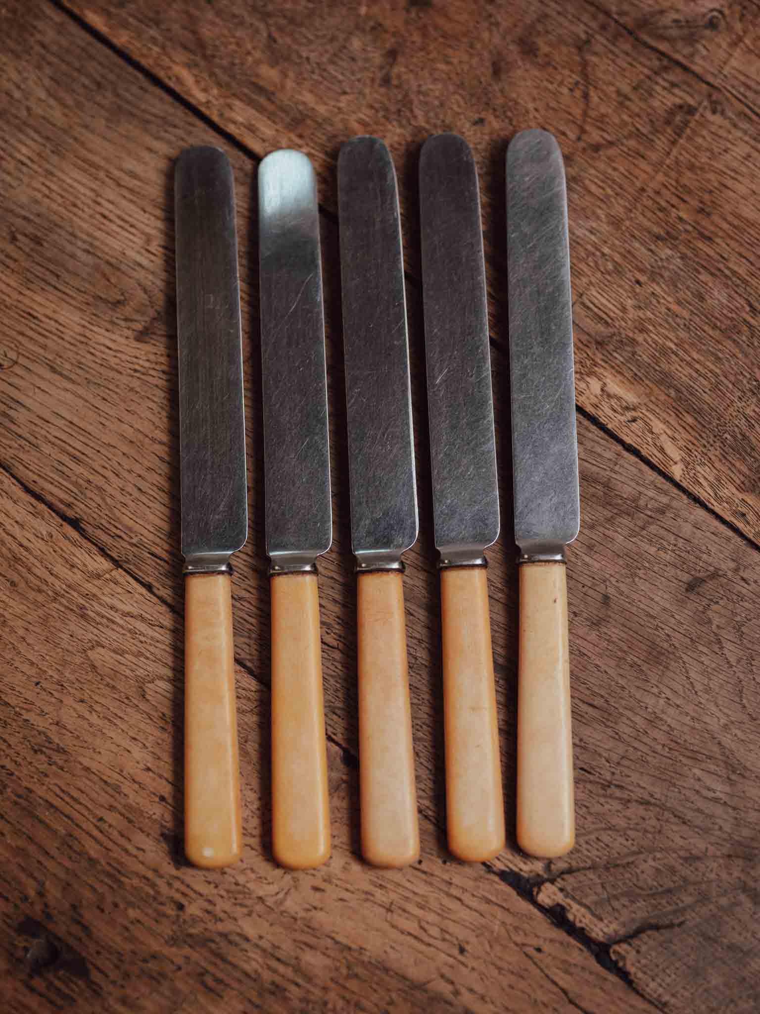 Set of Five Bone-Handled Stainless Knives - The Stainless Cutlery Co Sheffield