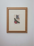 Antique Hand Coloured Madagascan Sunset Moth Engraving by Jardine c1830