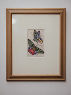Antique Hand Coloured Madagascan Sunset Moth Engraving by Jardine c1830