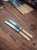 Pair of Faux Bone Handled Dinner Knives by FA Kirk Cutler Sheffield