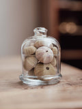 Hand Blown Glass Cloche with Kina and Sea Urchins