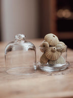 Hand Blown Glass Cloche with Kina and Sea Urchins
