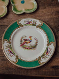 Myott Chelsea Bird Plate Staffordshire England