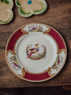 Myott Chelsea Bird Plate Maroon Staffordshire England